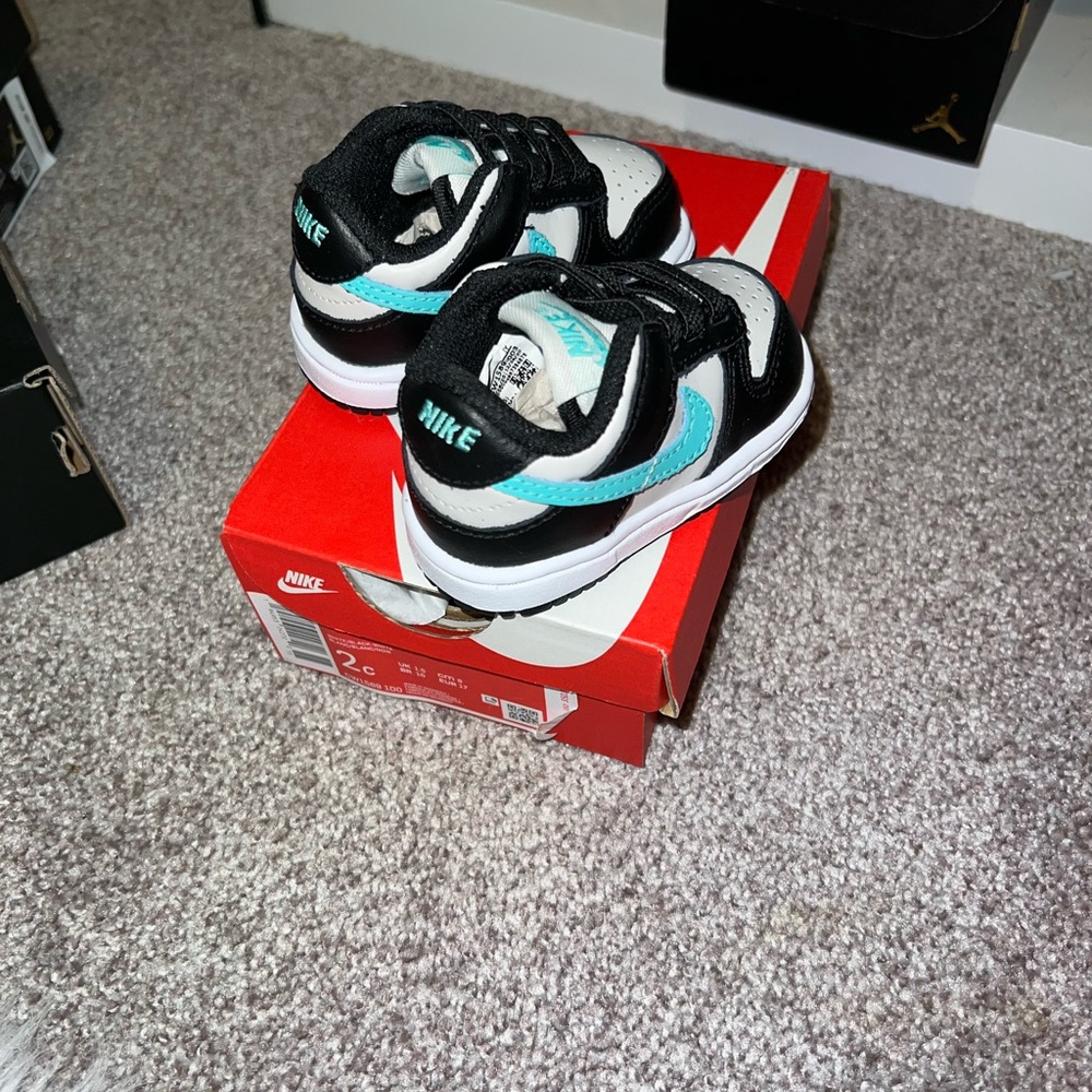 Nike dunks 2c